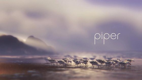 حصريا شاهد فيلم Piper 2016 مترجم كامل HD