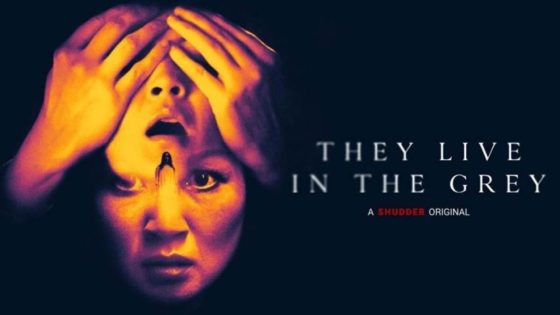 فيلم They Live in the Grey 2022 مترجم HD